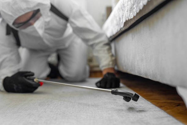 Professional Termite Control technician working in Barrow County County, GA